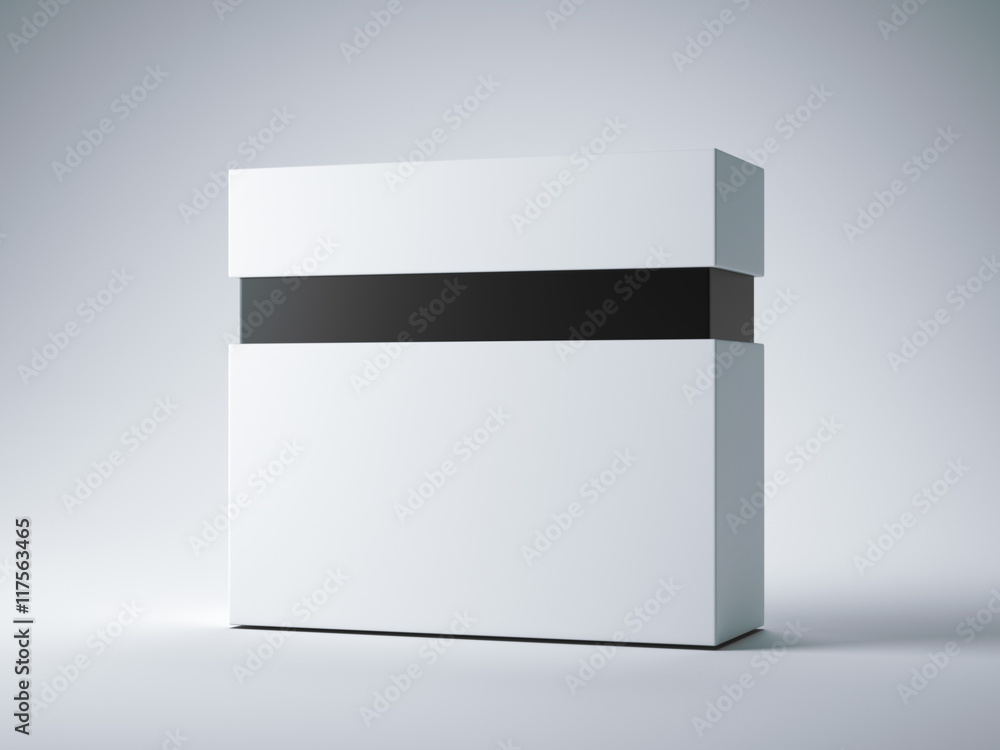 Poster white box with black line. 3d rendering