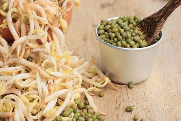 bean sprouts