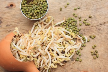 bean sprouts