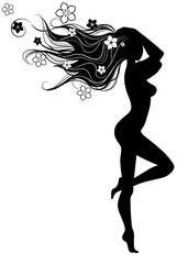 Silhouette of Girl with Long Hairs