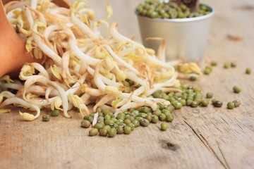 bean sprouts