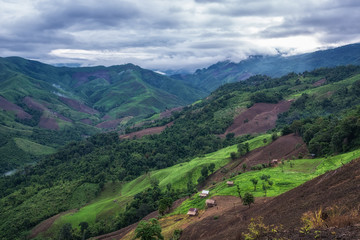 Beautiful top view of mountain forest landscape with misty morni