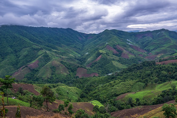 Beautiful top view of mountain forest landscape with misty morni