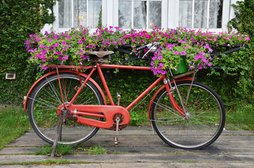 Fototapeta na wymiar Bicycle is red with the small basket