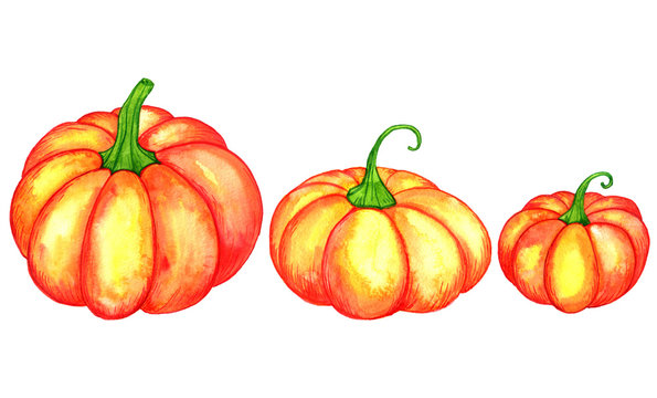watercolor orange pumpkins