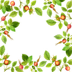 floral frame with leaves and berries