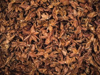 Dry jasmine flowers background