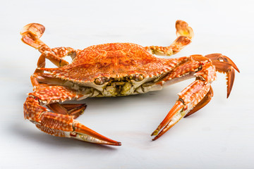 Steamed blue crab.