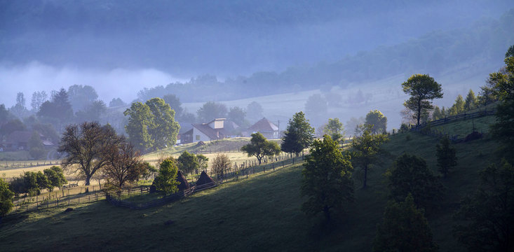 Fog ower avilage in Transylvania