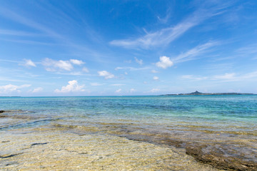 The beach where tropical fish are collected