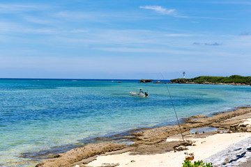 The beach where tropical fish are collected