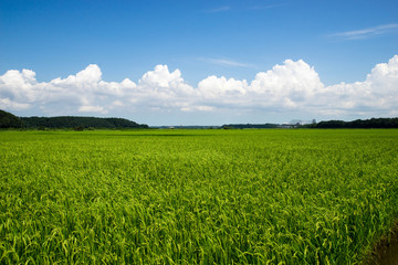 田園風景