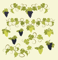 Design elements with bunches of grapes and vines in vintage style.