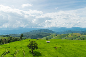 Obraz premium Landscape view farm in winter afternoon