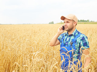 Naklejka na ściany i meble Farmer in a plaid shirt controlled his field. Talking on the pho