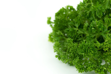 Fresh green parsley on white background