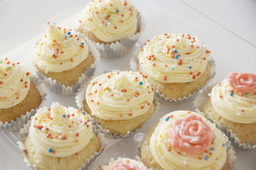 cupcakes with butter cream and multi-colored candy sprinkles in cups on a transparent tray on a white background