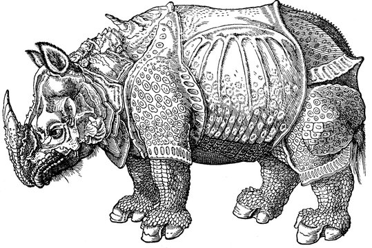 Vintage image early rhino