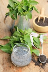 basil seed with fresh