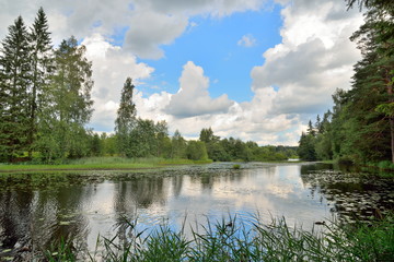 Clouds and trees reflected in the water of the river Oredezh amo