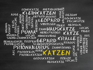 Katzen © CrazyCloud