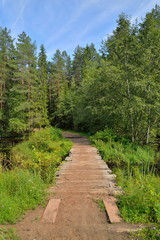 Fototapeta na wymiar Wooden bridge over forest river on a summer day