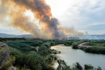 Fire caused by the destruction  humans.