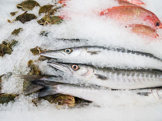 Fresh fish on ice