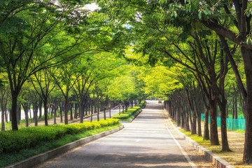 Fototapeta premium incheon grand park