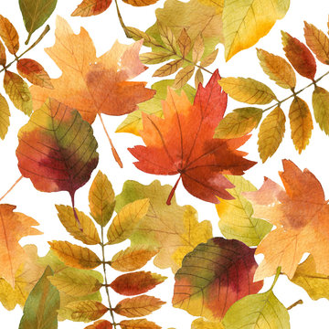 Seamless watercolor autumn leaves