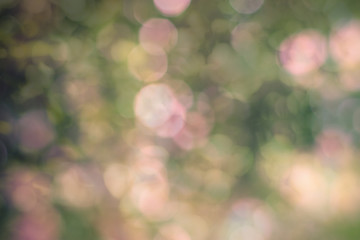 Obraz premium Abstract circular bokeh background of Christmaslight,green pink red and yellow abstract bokeh