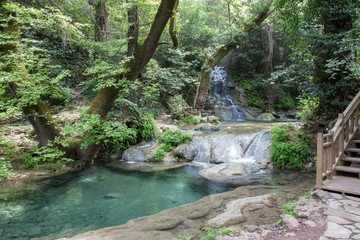 Paradisiacal nature place with a lake and vegetation