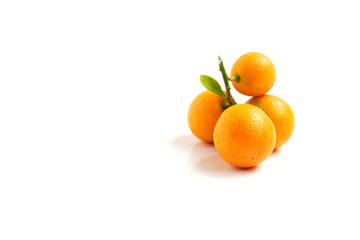 Orange Kumquat placed on white background