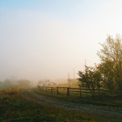 Morning fog in the countryside