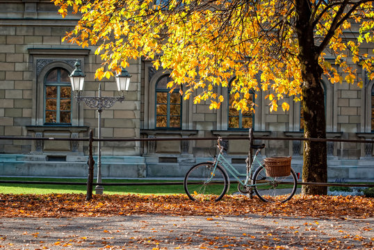 Fototapeta Niebieski rower w jesiennym parku miejskim