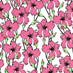 tropical Flowers in Sketch 