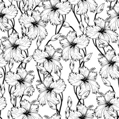 tropical Flowers in Sketch 