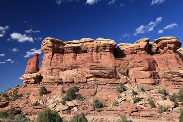 Fototapeta premium The Needles, Canyonland NP
