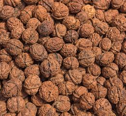 Walnut background