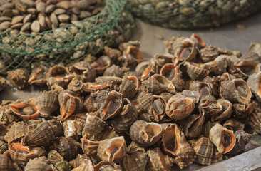 Mussels in the seafood market