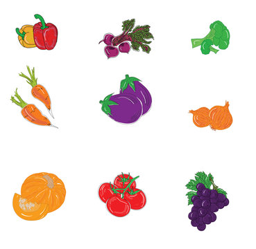 set of useful vegetables. vector illustration