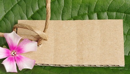 Etikett aus Pappe mit Blatt und Blüte