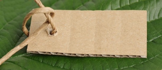 Leeres Etikett aus Pappe auf grünem Blatt