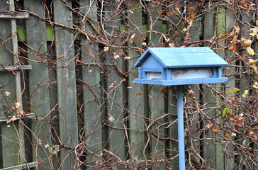 Blue house-shaped bird feeder near wooden fence