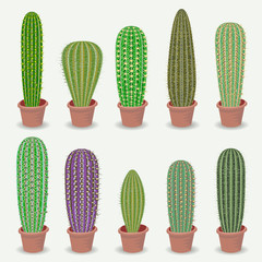 Different types of cactus plants realistic decorative icons set Isolated vector illustration.