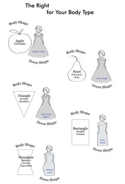 types of wedding dresses suitable figure. types of female figures. vector illustration