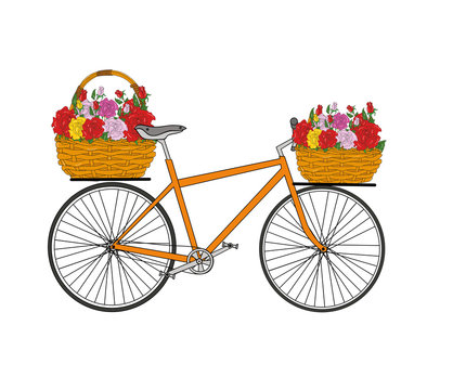 basket of flowers roses on a bicycle. vector illusbasket of flowers roses on a bicycle. vector illustration
