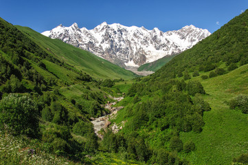 Fototapeta na wymiar Grassy valley and snow-capped mountains in Georgia