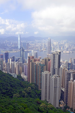 Tightly packed buildings in the island metropolis of Hong Kong, one of the large cities with forest and jungle not far away