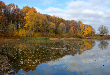 Осенний пейзаж с деревьями на берегу озера 